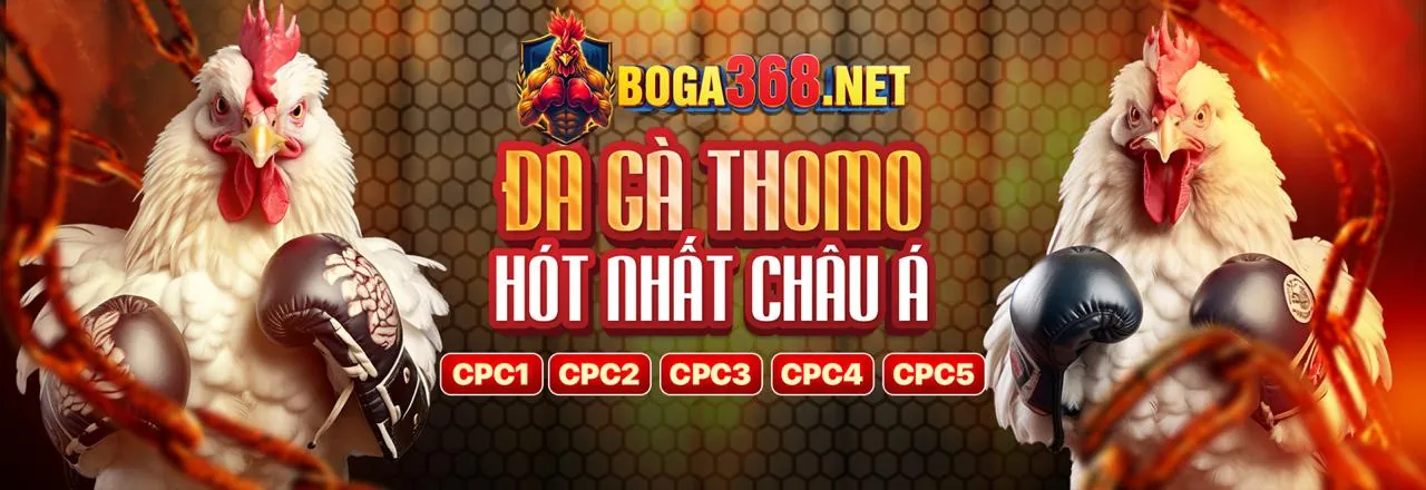 Đấu trường đá gà trực tuyến kịch tính tại 8acb